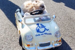 Akito in the car