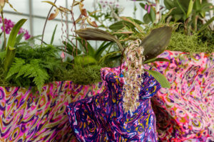 OrchidExhibit2024