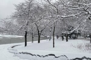 Snow blankets the Tidal Basin in D.C. on Jan. 19, 2024. (WTOP/John Domen)