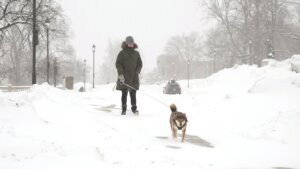 Winter Weather Iowa