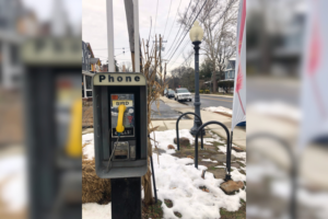 Bird calls phone