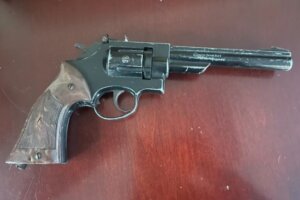 Fake gun