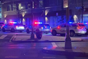 Police vehicles