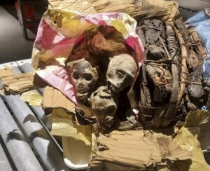 Airport Mummified Monkeys