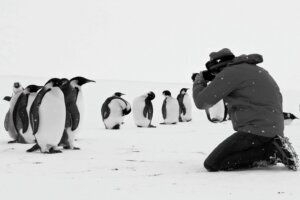 Antarctica Calling (Directed by Luc Jacquet)