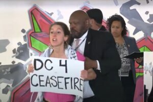 Protester holds a "DC 4 ceasefire" sign