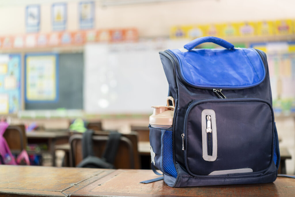 School bag backpack