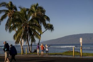 Hawaii Wildfires Coral Reef