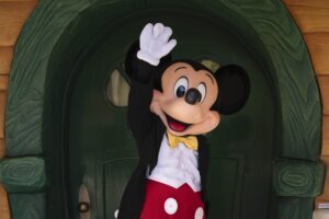 Disneyland Union