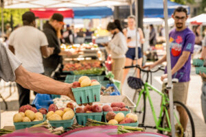NOMA MARKET
