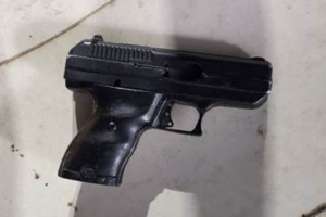 Gun