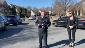 Stable brook newser
