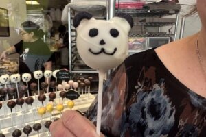 Panda pop2