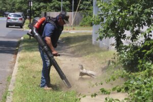 Gas Powered Leaf Blower Bans