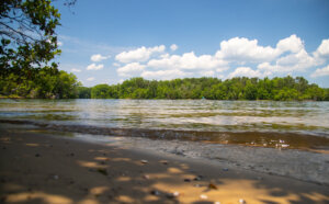 View of Lake Anna on a sunny summer day