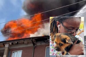 Fire composite