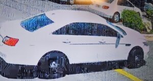 White ford taurus