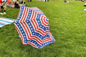 Patriotic umbrella