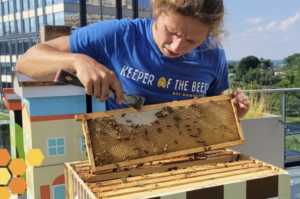Choice Hotels bees