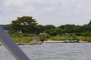 Sinepuxent Bay shoreline north 8 15 2024 1 1536x830