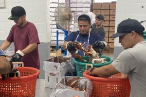 Crab workers buckets