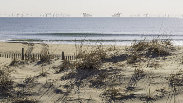 Windfarmrendering