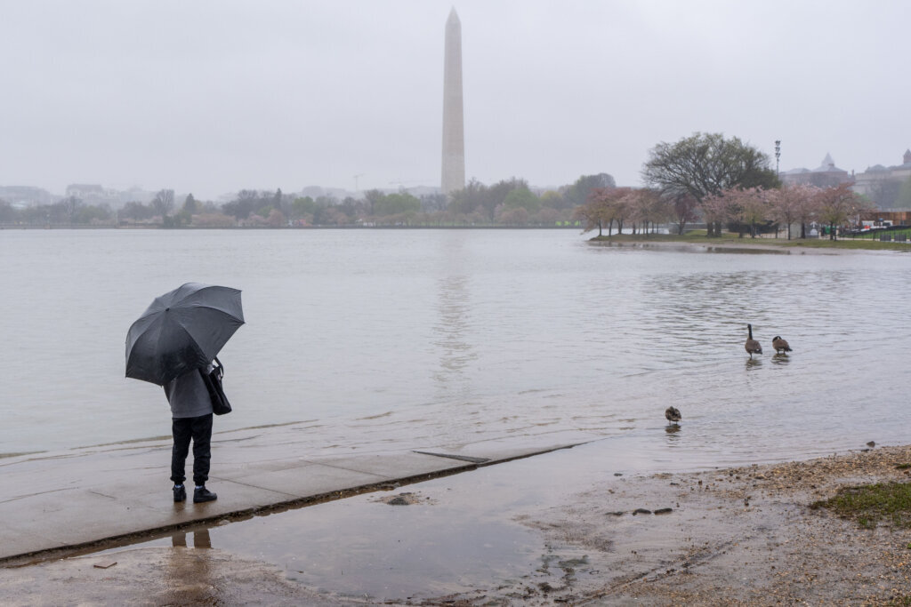 Spring Rains Bring Flooding To The Tidal Basin In Washington, D.C.