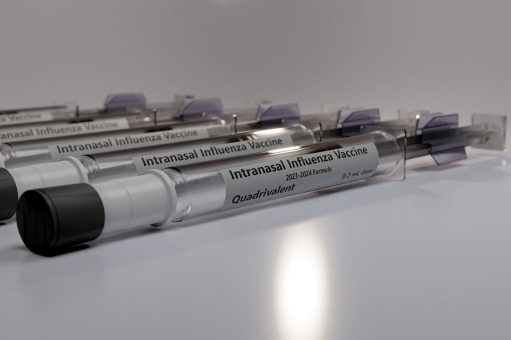 Syringes containing intranasal flu vaccine doses