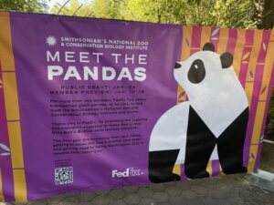 Pandas 2.0