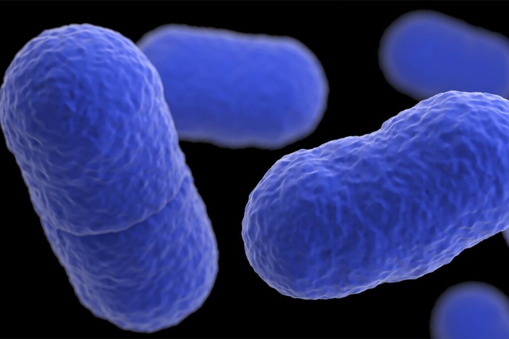 Listeria Death