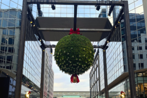 National mistletoe