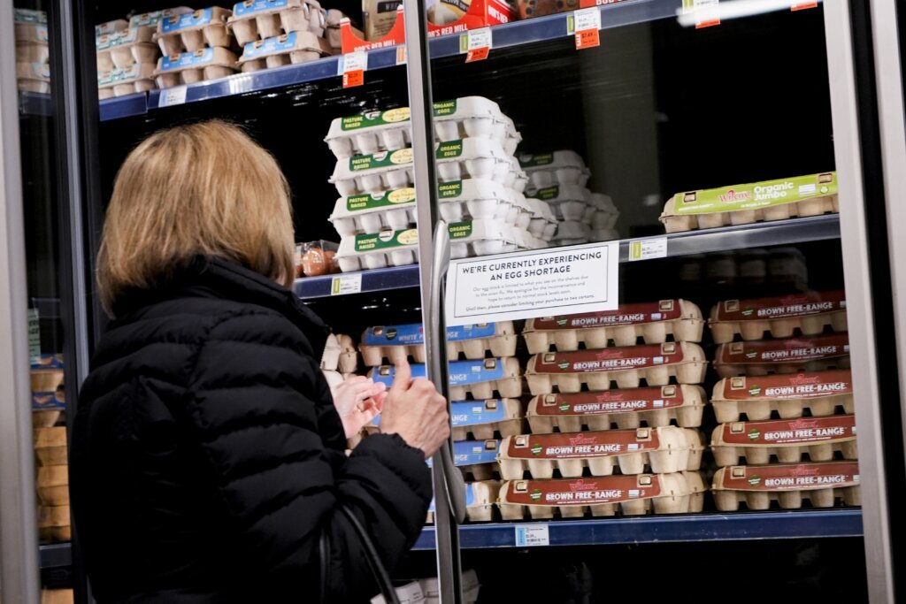 Egg Prices