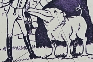 Goosepig