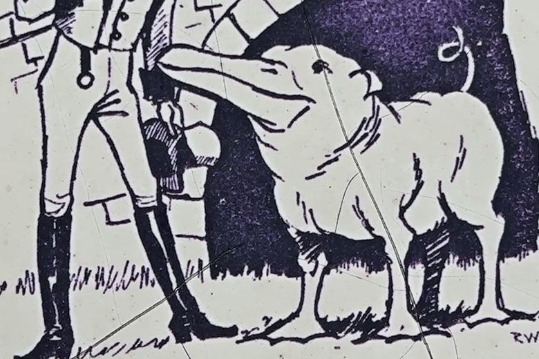 Goosepig