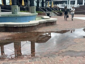 Alexandria waterfront