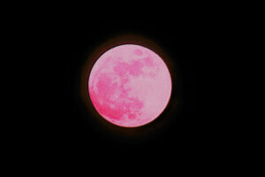 Strawberry Moon