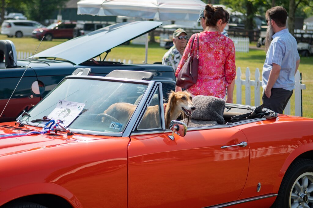 Horses and Horsepower Car Show on Sunday.jpeg