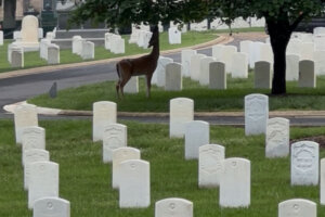 Soldiers' and Airmen's Home National Cemetery