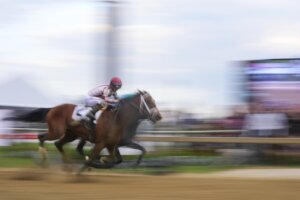 Preakness Stakes Horse Racing