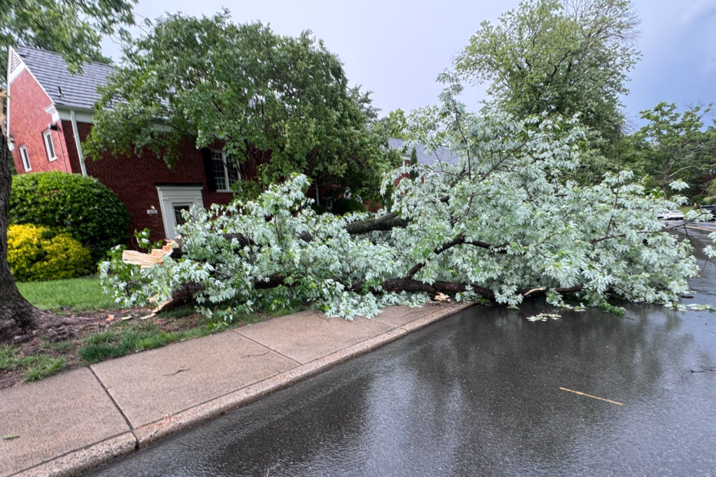 Alx storm damage