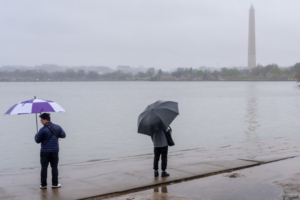 Rain in DC