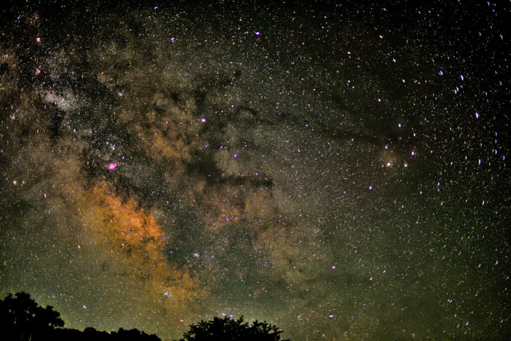 Capon Scorpius