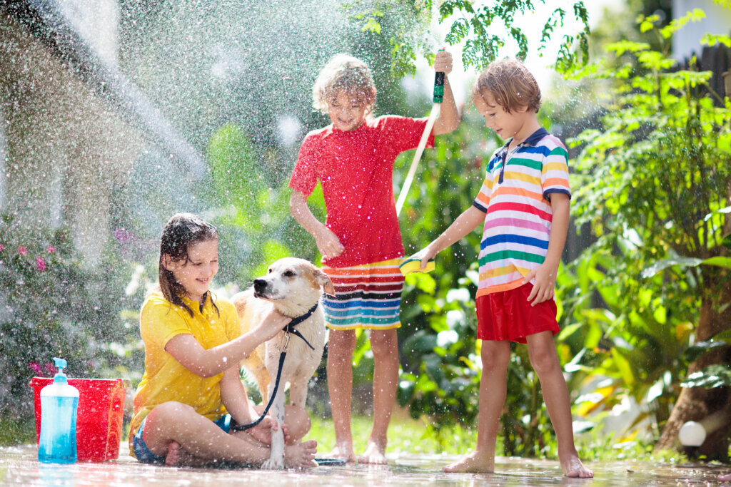 Kids wash dog in summer garden. Water hose fun.
