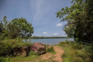 Beaver dam