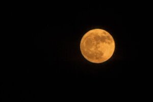 Full strawberry moon