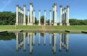 The National Arboretum