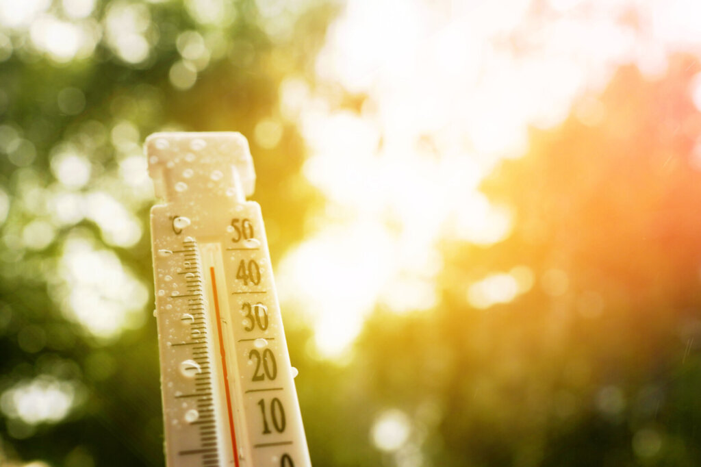 Thermometer for measuring outdoor air temperature.