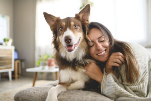 Woman with cute fluffy Australian Shepherd dog at home in living room