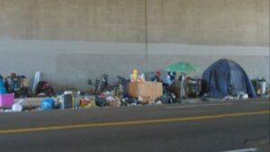 Why is the homeless population getting so much older?