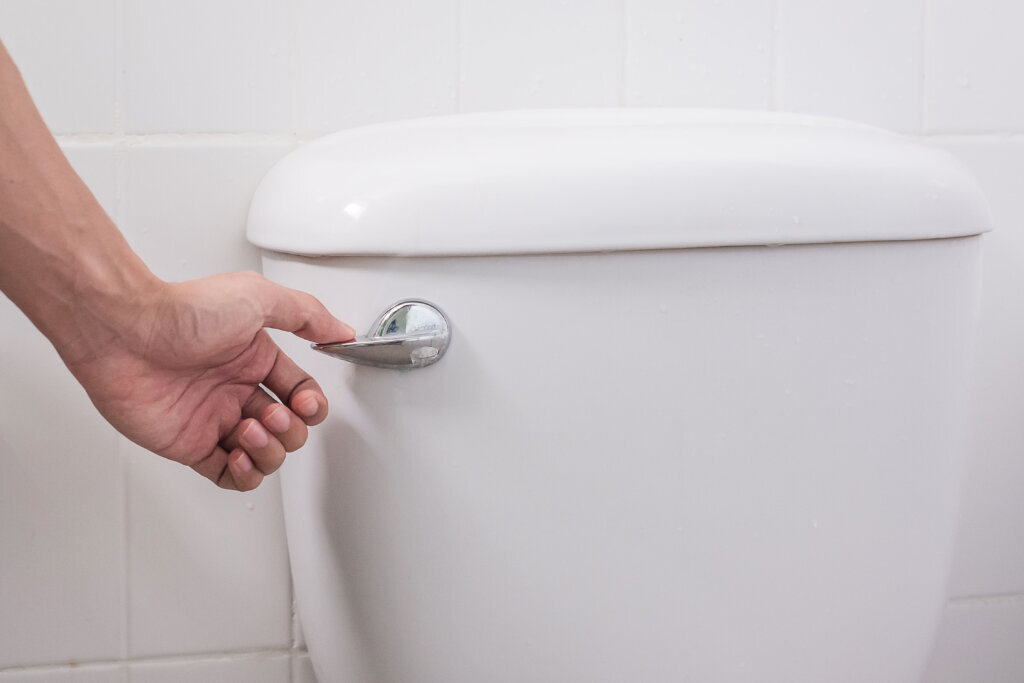 Hand press and flush toilet. Cleaning, Lifestyle and personal hygiene concept